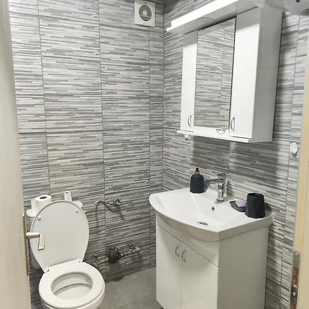 Apartment Milijic Lux 2 Sokobanja