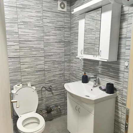 Apartment Milijic Lux 2 Soko Banja